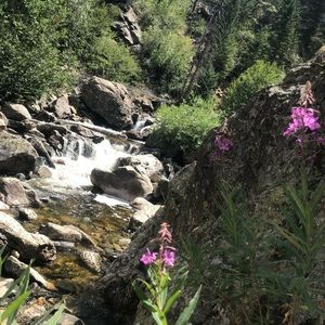 Meet your Posher, Emma